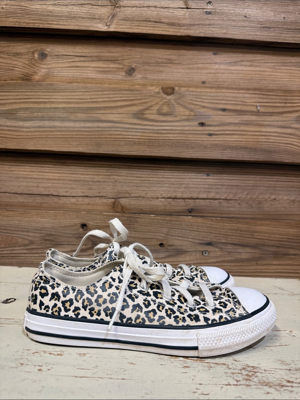 Leopard Converse All Stars